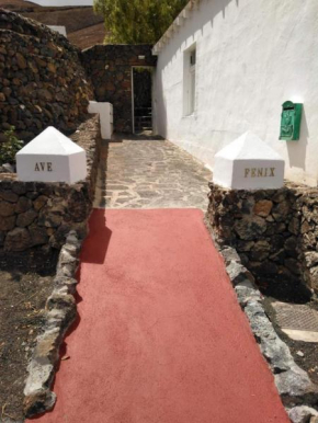 Centro Ave Fénix